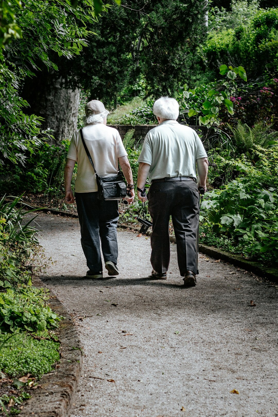 group seniors walking